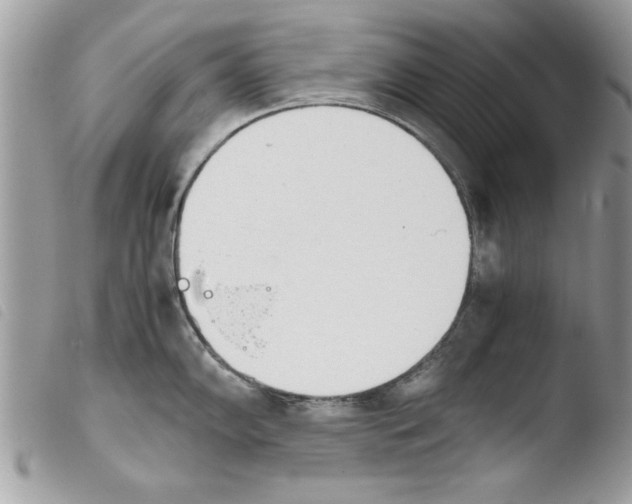 X0000103901102200810171608