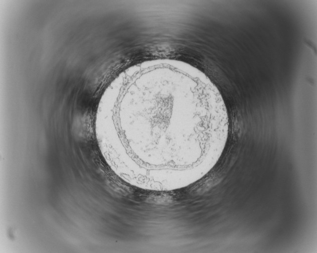 X0000103901106200810171607