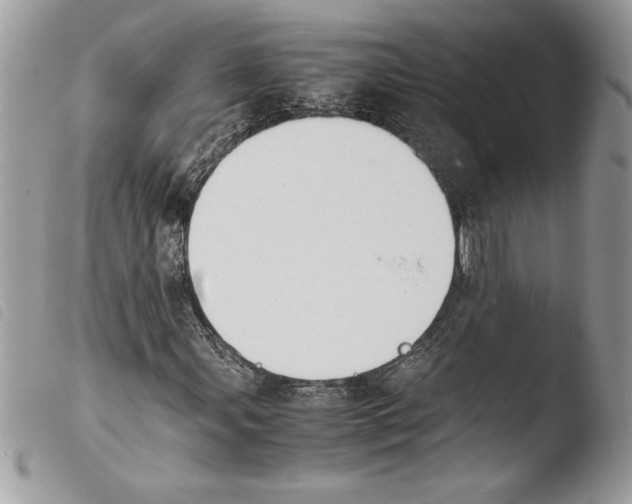 X0000103901107200810171607