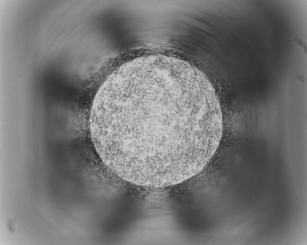 X0000103901110200810171607