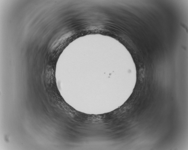 X0000103901111200810171607