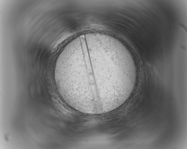 X0000103901112200810171607