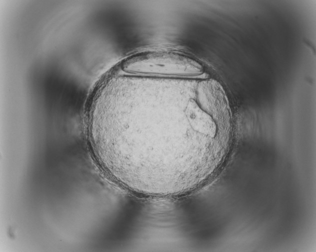 X0000103901114200810171607