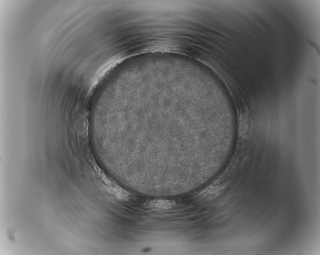 X0000103901115200810171607