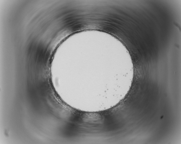 X0000103901119200810171607