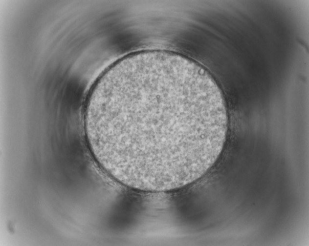 X0000103901120200810171607