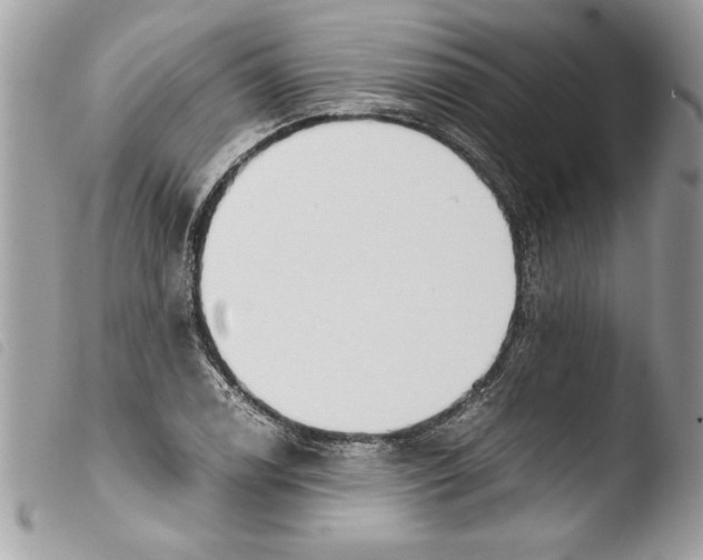 X0000103901122200810171607