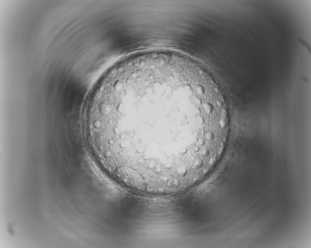 X0000103901126200810171607