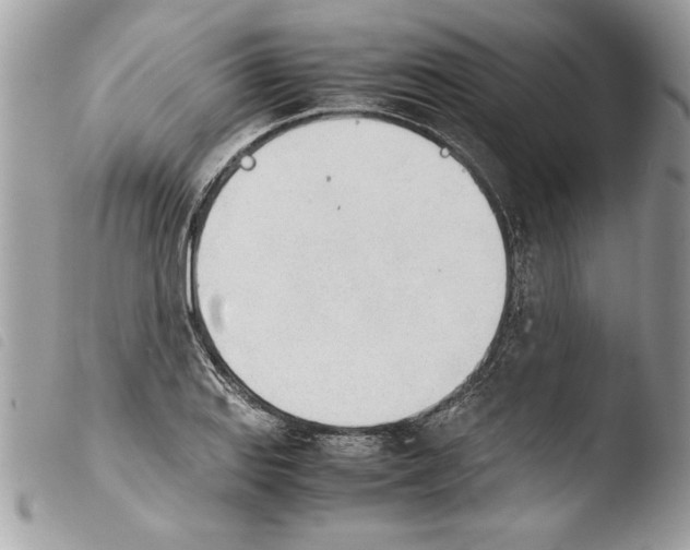 X0000103901127200810171607