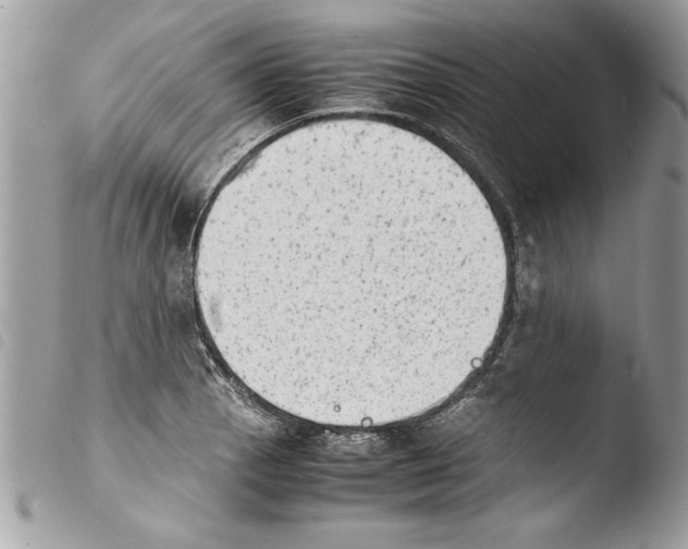 X0000103901129200810171607