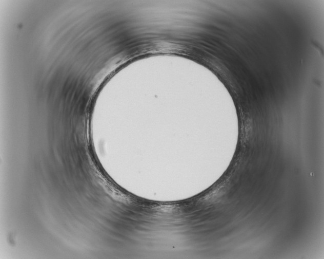 X0000103901130200810171607