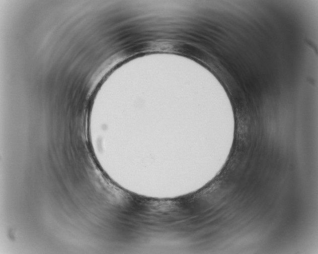 X0000103901131200810171607