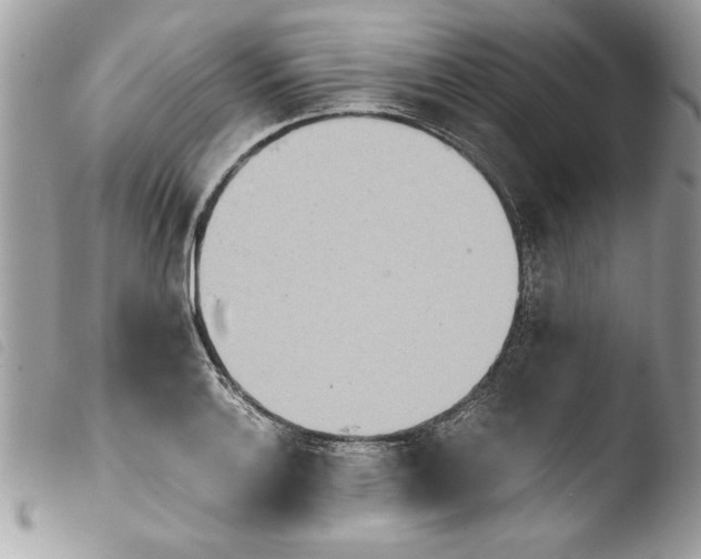 X0000103901132200810171607