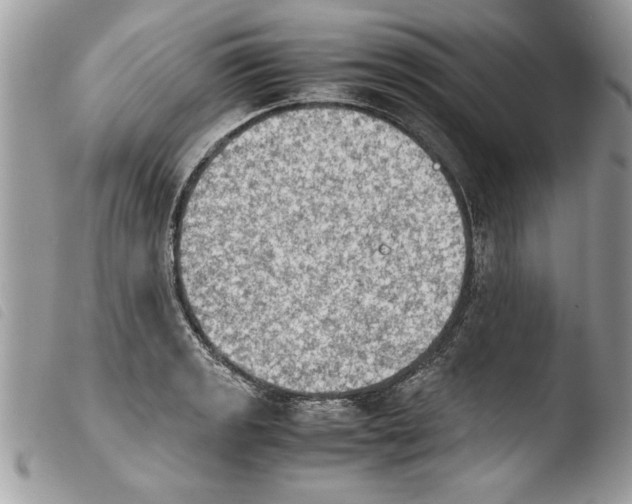 X0000103901133200810171607