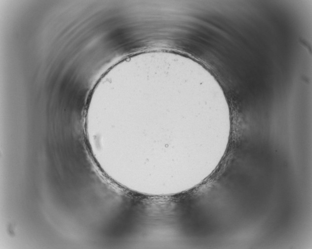 X0000103901134200810171607