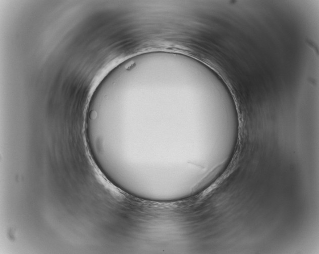 X0000103901136200810171607