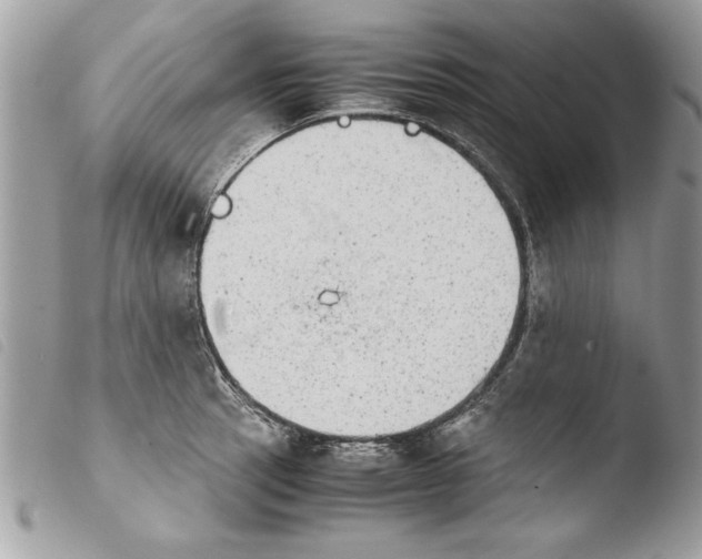 X0000103901137200810171607