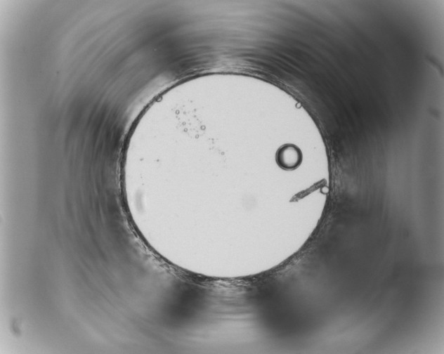 X0000103901138200810171607