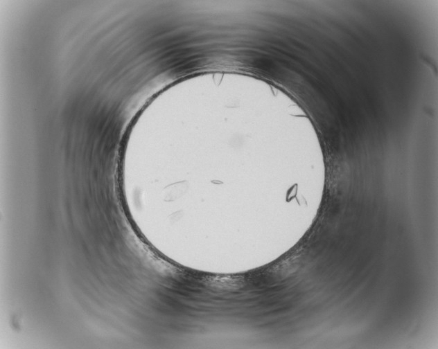 X0000103901139200810171607