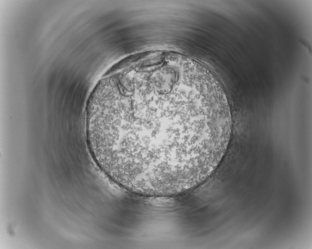 X0000103901140200810171607