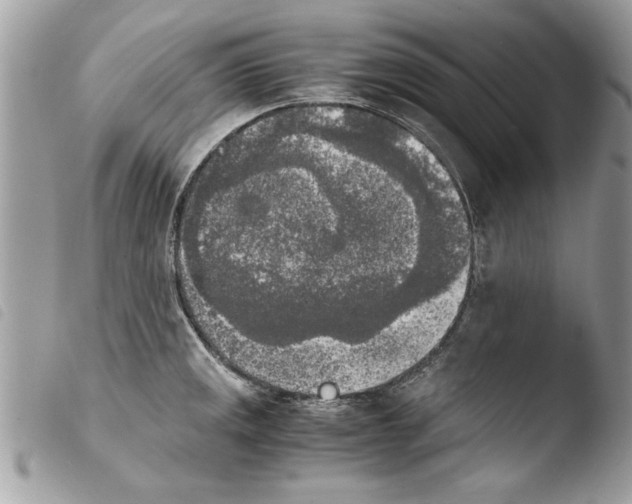 X0000103901141200810171607