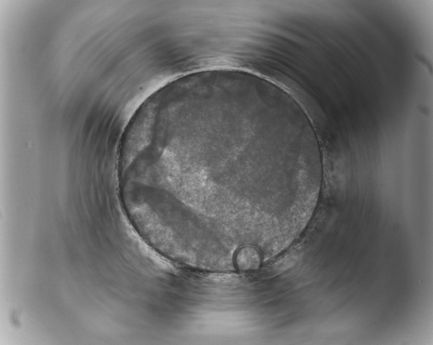 X0000103901142200810171608