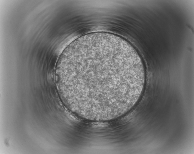 X0000103901145200810171608