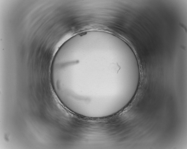 X0000103901146200810171608