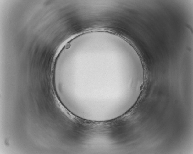 X0000103901148200810171608