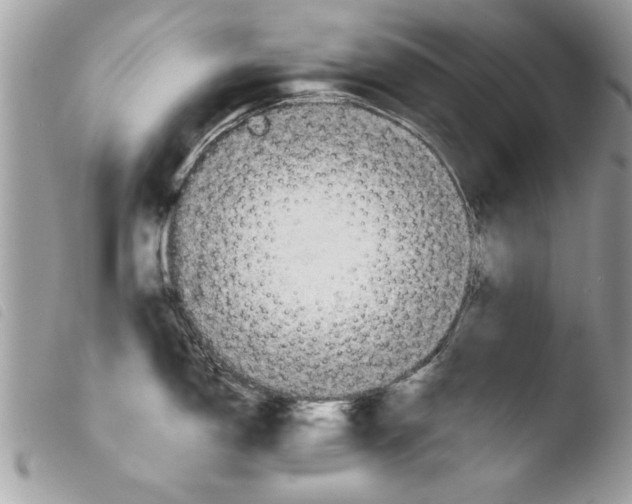 X0000103901150200810171608