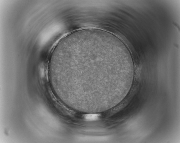 X0000103901151200810171608