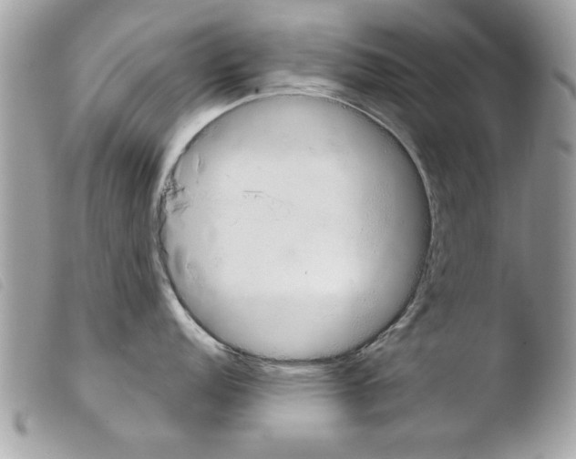 X0000103901152200810171608