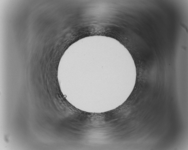 X0000103901153200810171607