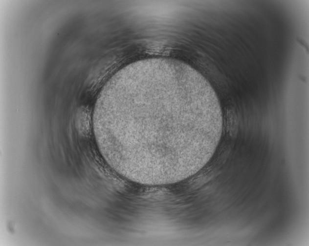 X0000103901154200810171607