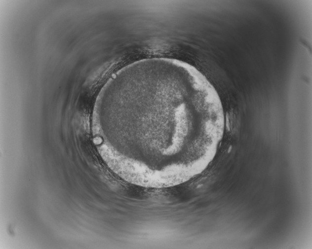 X0000103901155200810171607