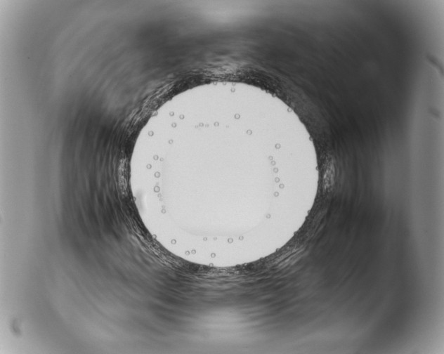 X0000103901156200810171607