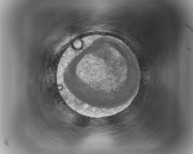 X0000103901159200810171607