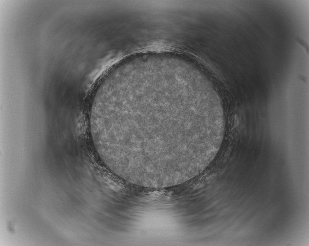 X0000103901160200810171607