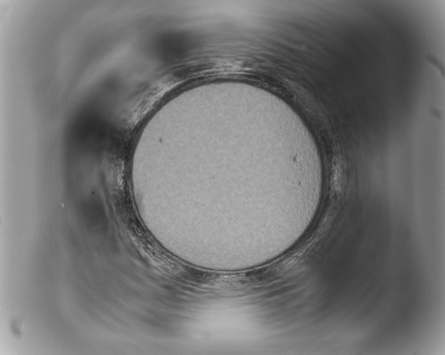 X0000103901161200810171607