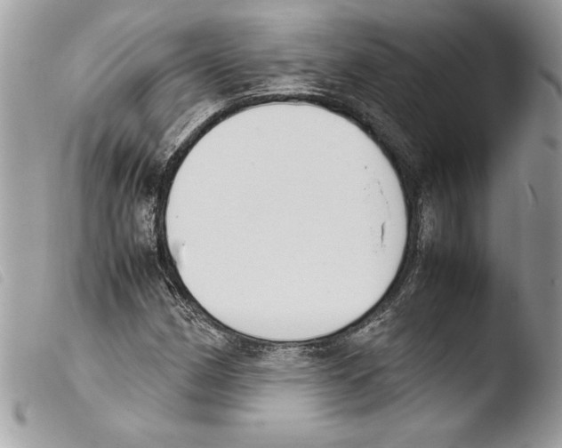 X0000103901162200810171607