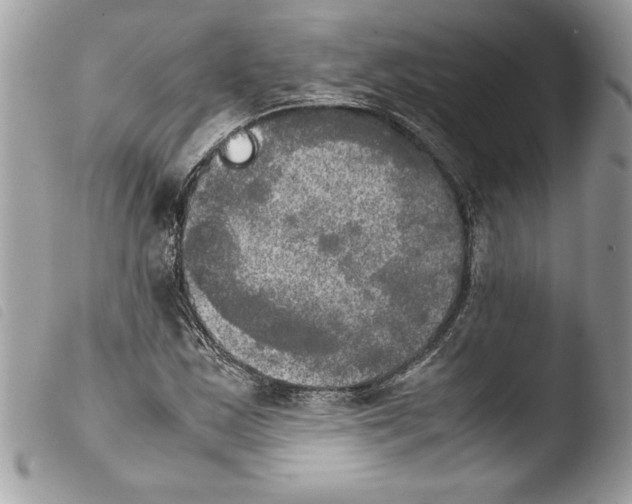 X0000103901163200810171607