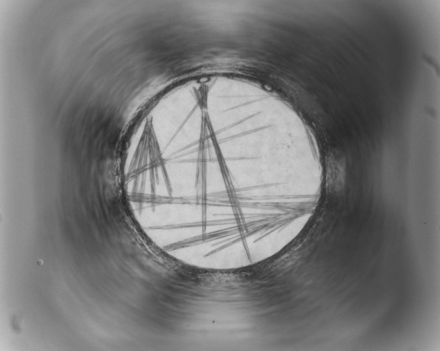 X0000103901164200810171607