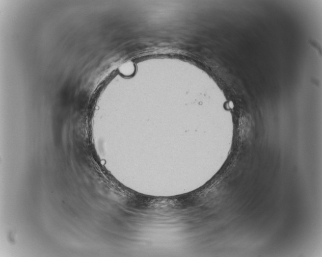 X0000103901165200810171607