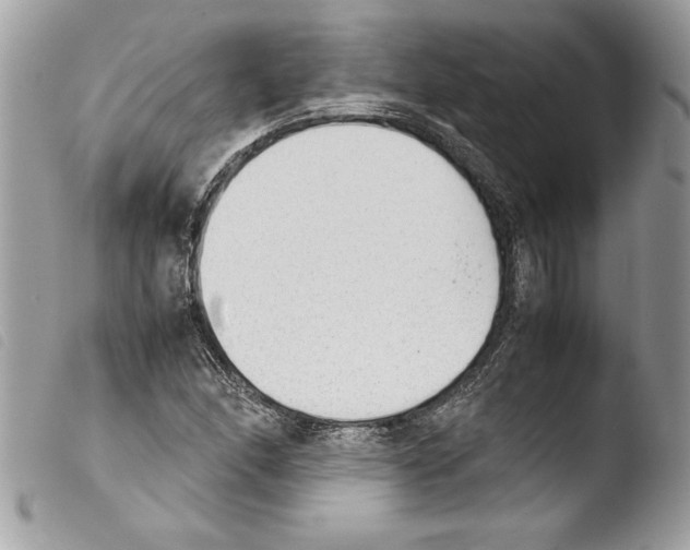 X0000103901166200810171607