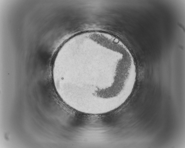 X0000103901167200810171607