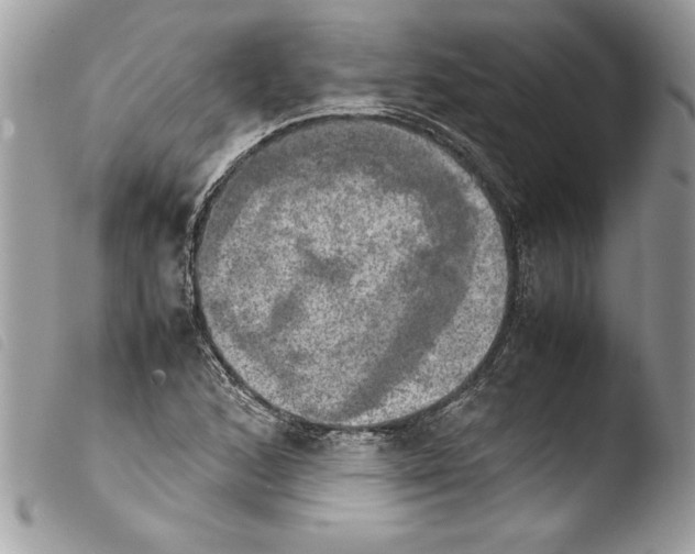 X0000103901168200810171607