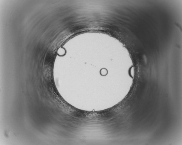 X0000103901169200810171607