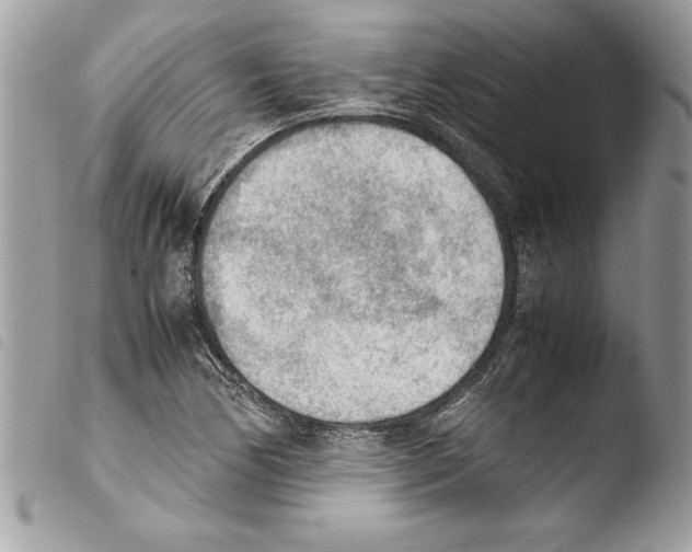 X0000103901170200810171607