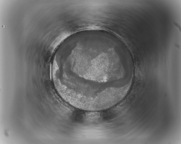 X0000103901171200810171607