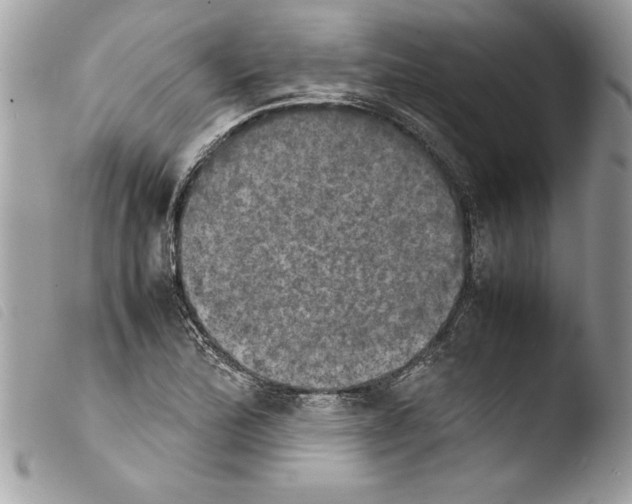 X0000103901172200810171607